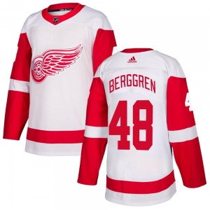 Youth Authentic Detroit Red Wings Jonatan Berggren White Official Adidas Jersey