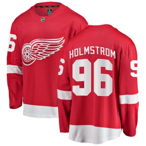 Adult Breakaway Detroit Red Wings Tomas Holmstrom Red Home Official Fanatics Branded Jersey