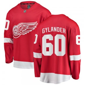 Youth Breakaway Detroit Red Wings Carter Gylander Red Home Official Fanatics Branded Jersey